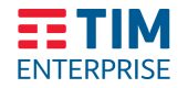 Logo_TimEnterprise